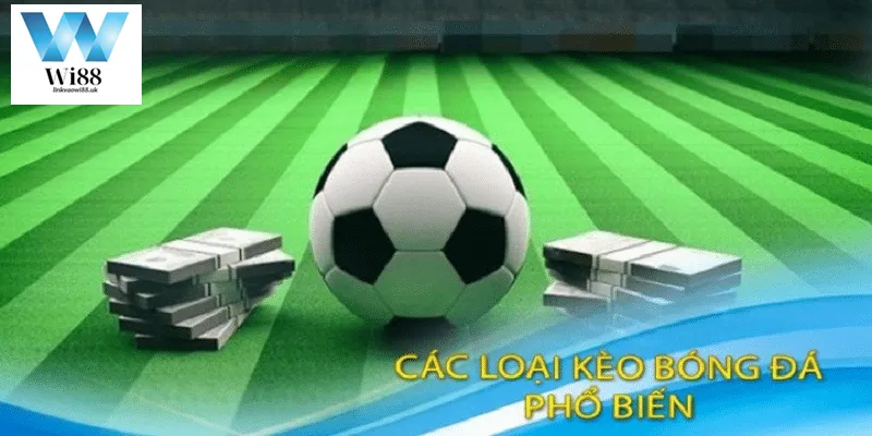 Hướng Dẫn Cách Xem Kèo Bóng Đá Tại Wi88 Đơn Giản Và Chi Tiết Các loại kèo bóng đá HOT tại nhà cái Wi88